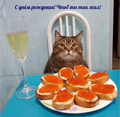 Прикольные картинки \"С Днем Рождения!\" для женщины (234 шт.)
