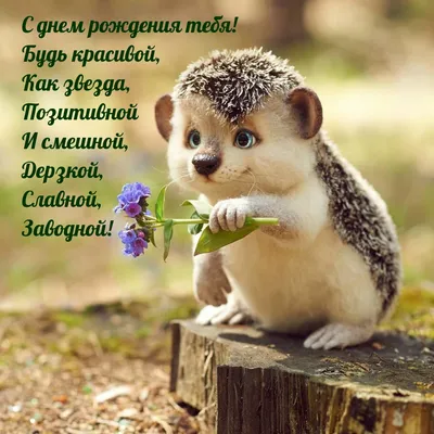 Прикольные картинки \"С Днем Рождения!\" для мужчины (199 шт.)