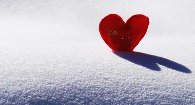 valentine's day (приколы про день святого валентина) / смешные картинки и  другие приколы: комиксы, гиф анимация, видео, лучший интеллектуальный юмор.