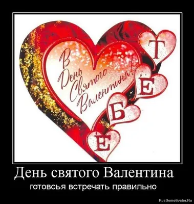 Прикольные картинки на 14 февраля