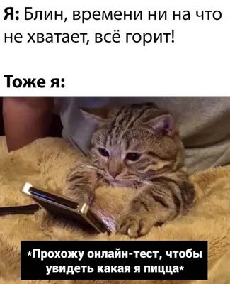 Прикольные картинки, на ночь глядя (37 шт)