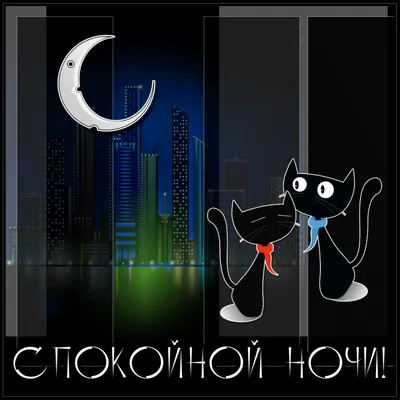 Спокойной ночи | Ночь, Спокойной ночи, Смешные открытки
