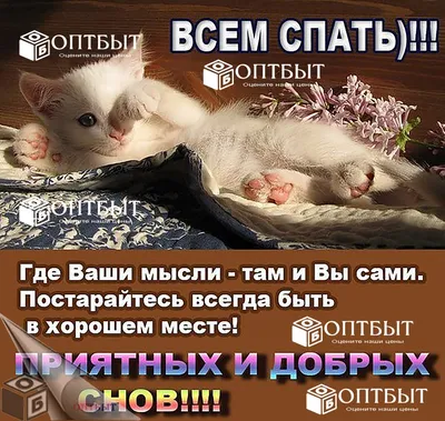 Открытка спокойной ночи мужчине прикольные - 65 фото