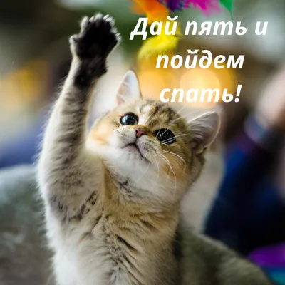 Позитивные картинки спокойной ночи скачать бесплатно