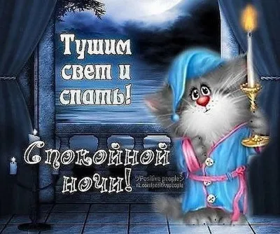 Смешные картинки с надписями \"Спокойной ночи\" (43 ФОТО)