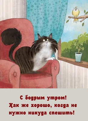 Прикольные картинки: спокойной ночи (30 картинок) от 16 января 2018 |  Екабу.ру - развлекательный портал
