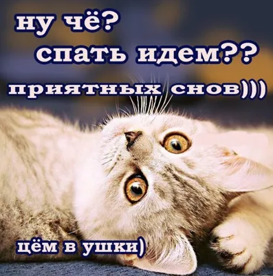БЫСТРО КРУТИТСЯ ПЛАНЕТА НОЧЬ СМЕНЯЯ ВСПЫШКОЙ ДНЯ НО ДО БУДУЩЕГО ЛЕТА ЕЩЁ  ОЧЕНЬ ДОХУЯ С0ВА4К1 / soba4ki :: Смешные комиксы (веб-комиксы с юмором и их  переводы) / смешные картинки и другие приколы: