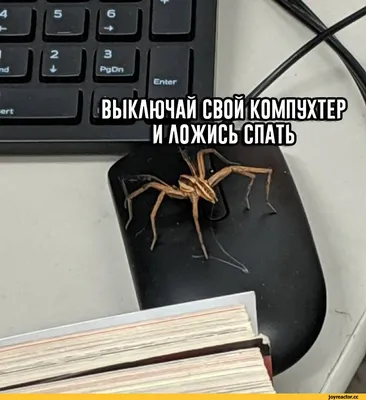 Прикольные картинки \"С Добрым Утром!\" (293 шт.)