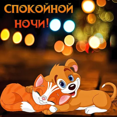 Смешные открытки спокойной ночи - подборка фото