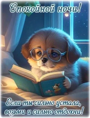 Прикольные картинки \"Спокойной Ночи!\" (259 шт.)