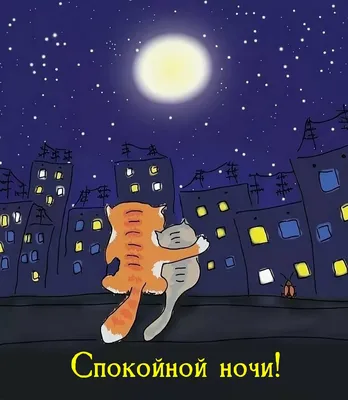 Спокойной ночи - прикольные | Холст в рамке, Ночь, Спокойной ночи