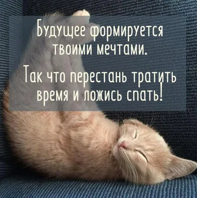 Прикольные открытки \"Спокойной ночи!\" (229 шт.)