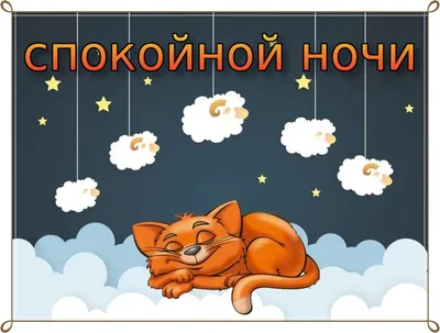 Пока кот молодной - это будильник, а когда постарше - уже снотворное.  Смешные картинки с котиками. | Любимые котики | Дзен