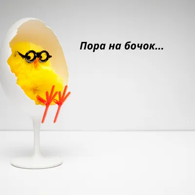 Смешные овцы, звезды и луна, спокойная ночь! Иллюстрация вектора -  иллюстрации насчитывающей подсчитывать, необыкновенно: 44061153