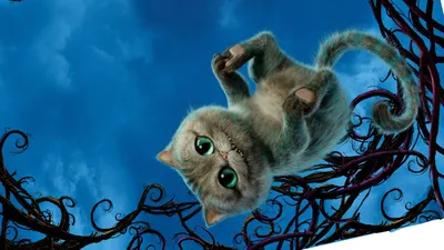 Смешные обои на телефон в виде …» — создано в Шедевруме