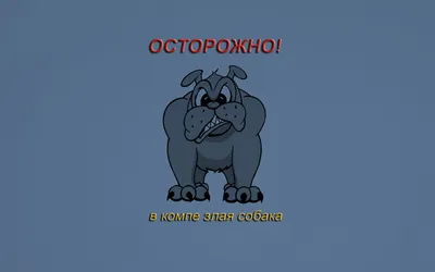 обои (большой размер по клику) :: котаны :: рабочий стол :: котэ (прикольные  картинки с кошками) / смешные картинки и другие приколы: комиксы, гиф  анимация, видео, лучший интеллектуальный юмор.