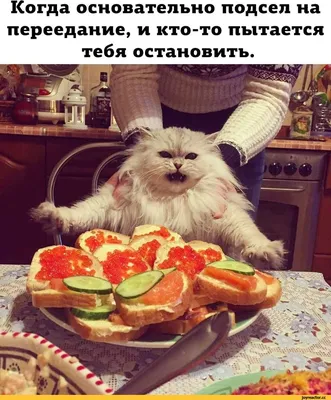 Не хочу сегодня готовить Закажем еду на дом? / proidemtes :: доставка еды  :: Смешные комиксы (веб-комиксы с юмором и их переводы) / смешные картинки  и другие приколы: комиксы, гиф анимация, видео,