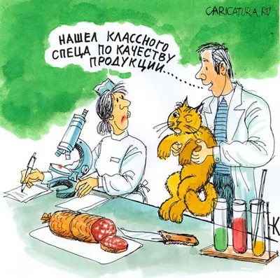 Смешные КАРИКАТУРЫ про еду 😂 и отношения людей ❤️. Так жизненно! | Призма  жизни | Дзен
