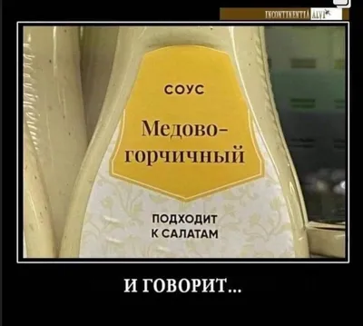 Смешные Улитки — стоковая векторная графика и другие изображения на тему  Улитка - Улитка, Эскарго, Слизень - iStock