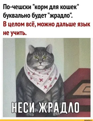 20 красивых и мотивирующих цитат из фильмов про похудение и еду - Чемпионат