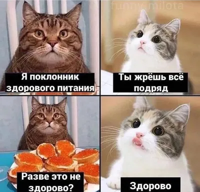Жизненные и прикольные картинки про работу