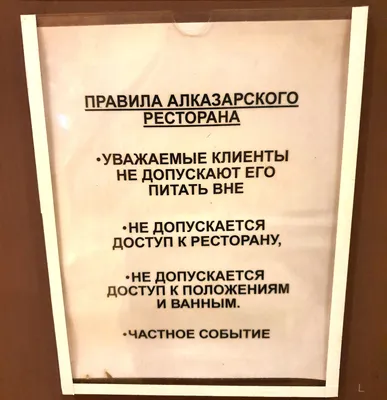 Симпатичные Бенгальские Смешные Кошки Играют — стоковые фотографии и другие  картинки Домашняя кошка - Домашняя кошка, Счастье, Шаловливый - iStock
