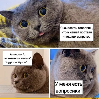 Смешные КАРИКАТУРЫ про еду 😂 и отношения людей ❤️. Так жизненно! | Призма  жизни | Дзен