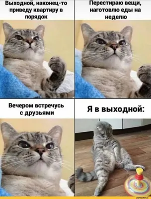 100 трендовых идей для видео в Тик Ток – Canva