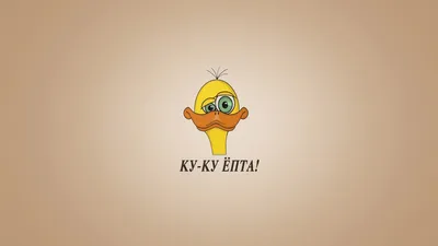 Котики на обои для телефона - картинки и фото koshka.top