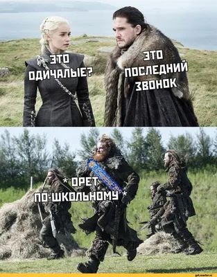 Прикольные и смешные картинки про лето 2020 года | Приколы до слёз | Дзен