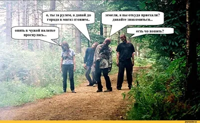 отдых на природе / смешные картинки и другие приколы: комиксы, гиф  анимация, видео, лучший интеллектуальный юмор.