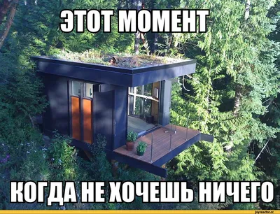 Картинки отдых на природе прикольные - 76 фото