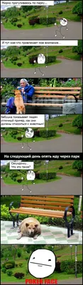 Прикольные картинки про отдых на море (50 фото) - 50 фото