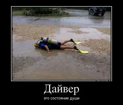 ЕЩЕ ОДИН ПОЗНАВАТЕЛЬНЫЙ ДЕНЬ НАШЕЙ ЖИЗНИ»