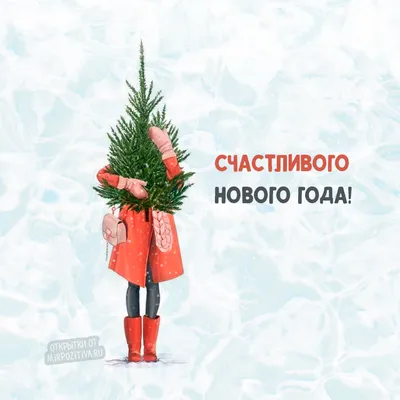 Обои на рабочий стол Новогодний кот, обои для рабочего стола, скачать обои,  обои бесплатно