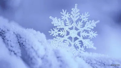 Обои для рабочего стола Новый год снежинка Снеговики Праздники