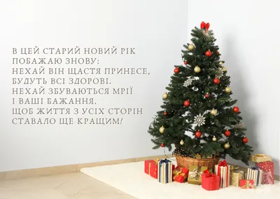 https://life.nv.ua/showbiz/pozhelaniya-i-pozdravleniya-na-staryy-novyy-god-2024-stihi-proza-otkrytki-i-kartinki-50383651.html