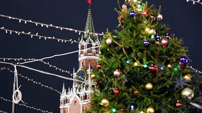 https://vestitula.ru/lenta/187903