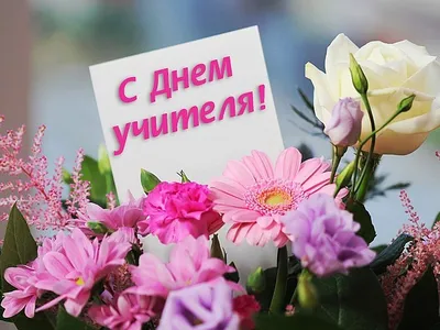 Как изменилась жизнь фронтенд-разработчика в Бишкеке с зарплатой 78 000 ₽