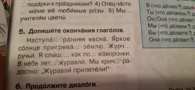 Правила использования have и has в английском языке • Cambridge.ua