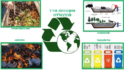 Сочинение на тему на уроке физкультуры по картинке фотографии