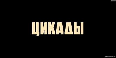 Обои с Фото Софьи Аржаных: стильное украшение для вашего телефона