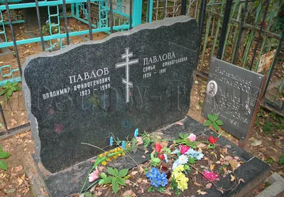 Потрясающие фотографии Софьи Павловой в 4K разрешении