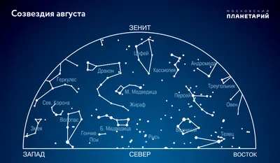 Большая Медведица — Википедия