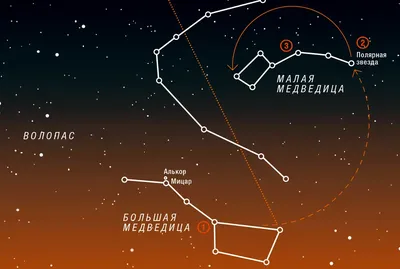 Мобильный планетарий \"Звезда\" - ✨💫Посмотрите на небо и загадайте желание  ✨💫 Ведь сейчас на небе можно увидеть яркую падающую звезду, и не одну!  🌟Это потому, что идёт время активности самого мощного регулярного
