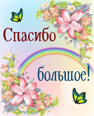Спасибо надпись на картинке фотографии