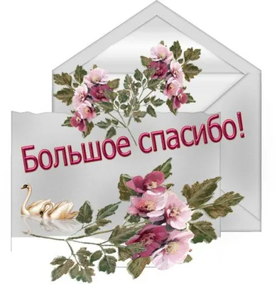 Обои спасибо, слова, надпись, тюльпаны, цветы картинки на рабочий стол,  фото скачать бесплатно
