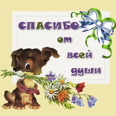 Картинки с надписями. Спасибо за внимание!.