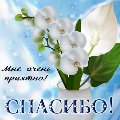 Красивые надписи, картинки на в/р бумаге А4 купить по цене 150 руб. в  магазине AROMATIZE