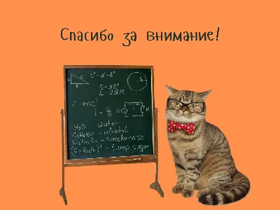 Картинки с надписями и мемы, 50 штук 198766
